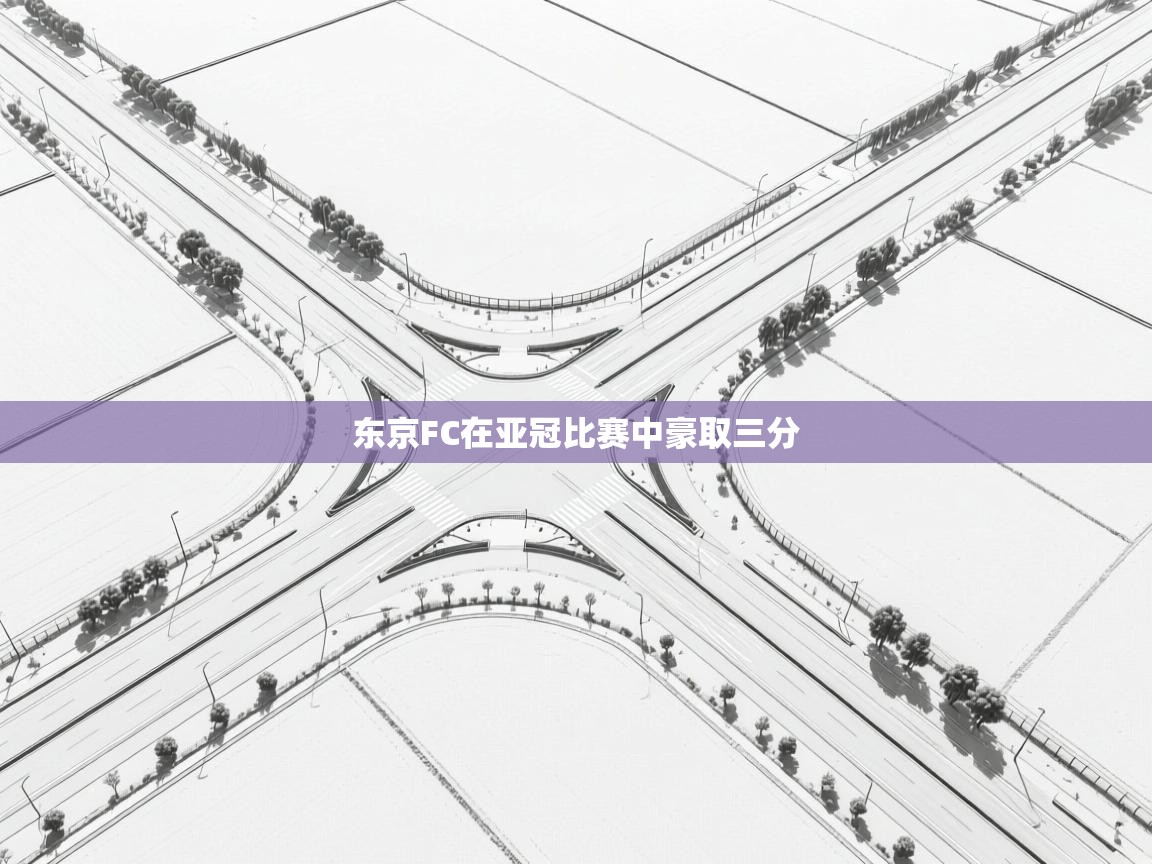 东京FC在亚冠比赛中豪取三分