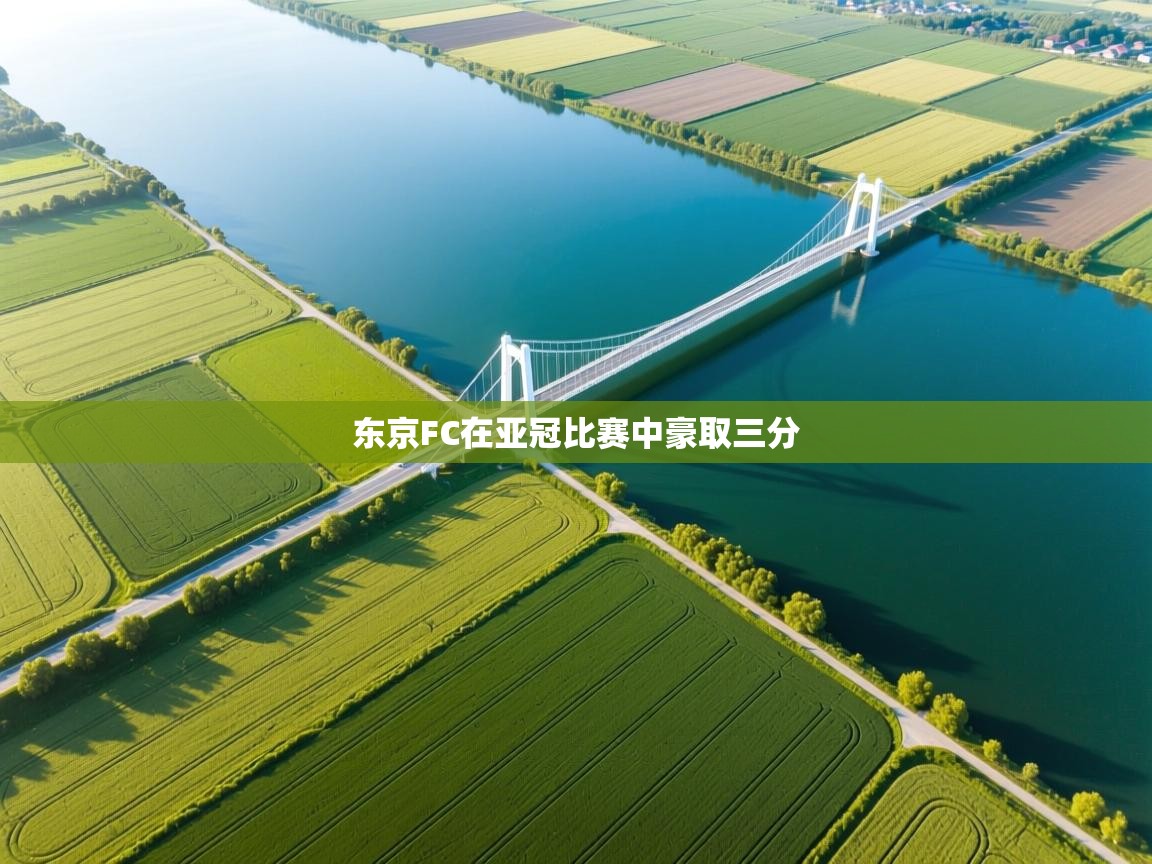 东京FC在亚冠比赛中豪取三分