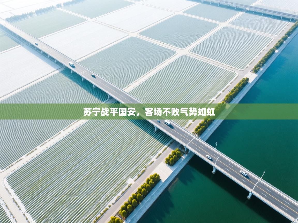 苏宁战平国安，客场不败气势如虹  第1张