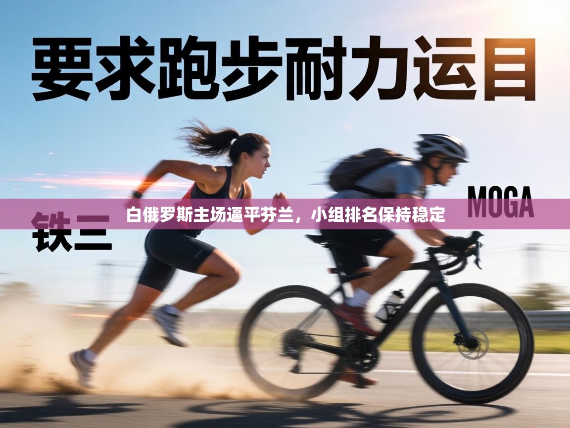 白俄罗斯主场逼平芬兰，小组排名保持稳定